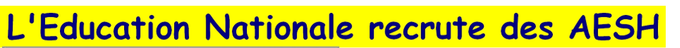 AESH.png